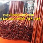 CÂY CHỐNG TĂNG KẼM HẬU GIANG GIÁ RẺ