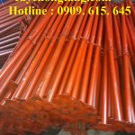 CÂY CHỐNG TĂNG KẼM NINH THUẬN GIÁ RẺ