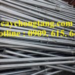 CÂY CHỐNG TĂNG KẼM HUYỆN CỦ CHI GIÁ RẺ