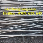 CÂY CHỐNG TĂNG KẼM QUẬN GÒ VẤP