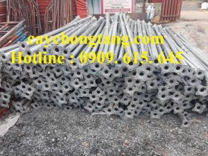 cây chống tăng kẽm đà lạt