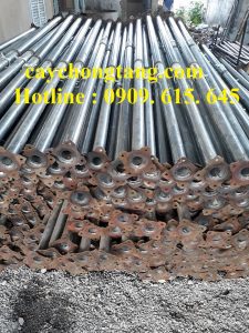 cây chống tăng kẽm hậu giang cây chống tăng kẽm hậu giang