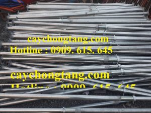 cây chống tăng kẽm đồng tháp cây chống tăng kẽm đồng tháp