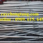 CÂY CHỐNG TĂNG KẼM TRÀ VINH GIÁ RẺ