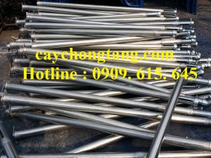 cây chống kẽm cây chống kẽm