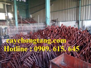 cây kích tăng giàn giáo Đà Lạt buôn ma thuột