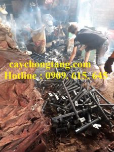 cây kích tăng giàn giáo quận tân phú cây kích tăng giàn giáo quận tân phú