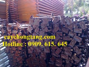 cây kích tăng giàn giáo đồng nai cây kích tăng giàn giáo Đồng Nai