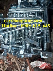 cây kích tăng kẽm cây kích tăng kẽm