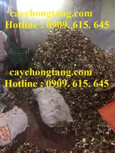 cùm chết cùm chết