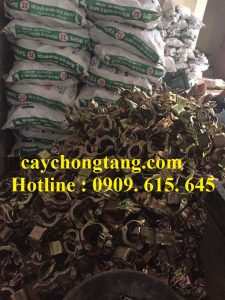 cùm xoay d49 chất lượng cùm xoay d49 chất lượng