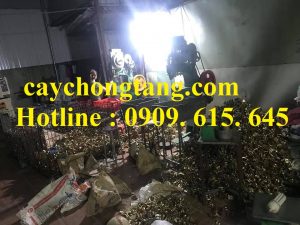 Sản xuất cùm khóa giàn giáo Sản xuất cùm khóa giàn giáo