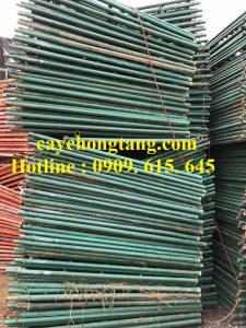 giàn giáo cũ giá tốt