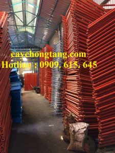 giàn giáo kẽm đồng nai giàn giáo kẽm đồng nai