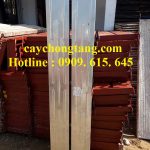 MÂM GIÀN GIÁO GIÁ RẺ HUYỆN HÓC MÔN